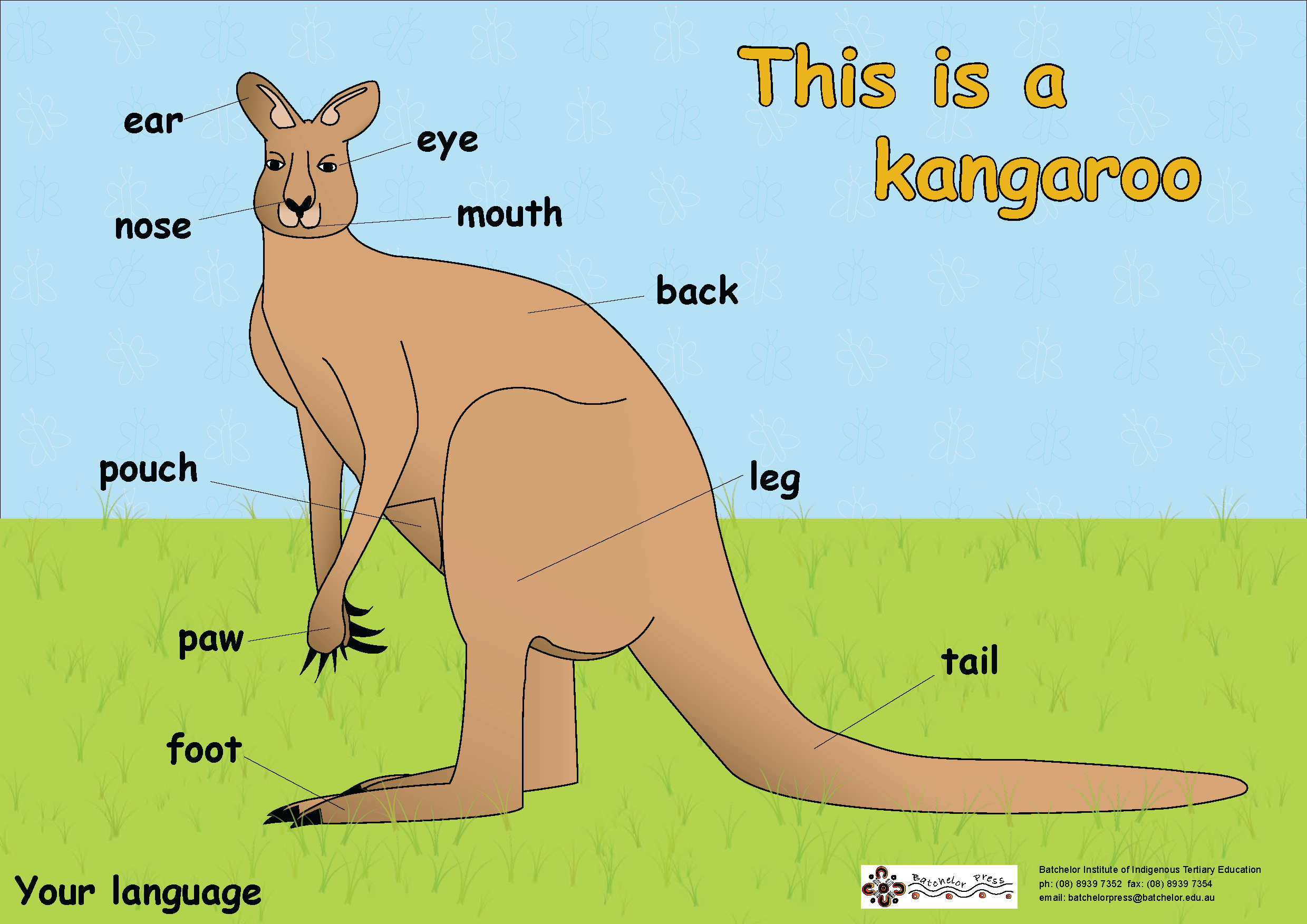 Части тела кенгуру на английском