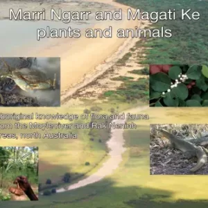 Marri Ngarr & Magati Ke plants and animals
