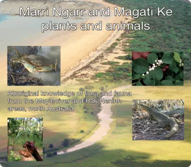 Marri-Ngarr-Ethnobiology