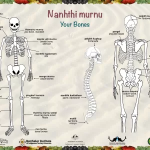 Nanhthi Murnu - Your Bones