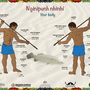 Nginipunh Nhinhi - Your Body